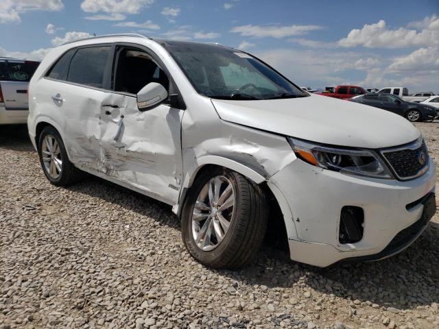 5XYKWDA79EG550440 KIA SORENTO SX