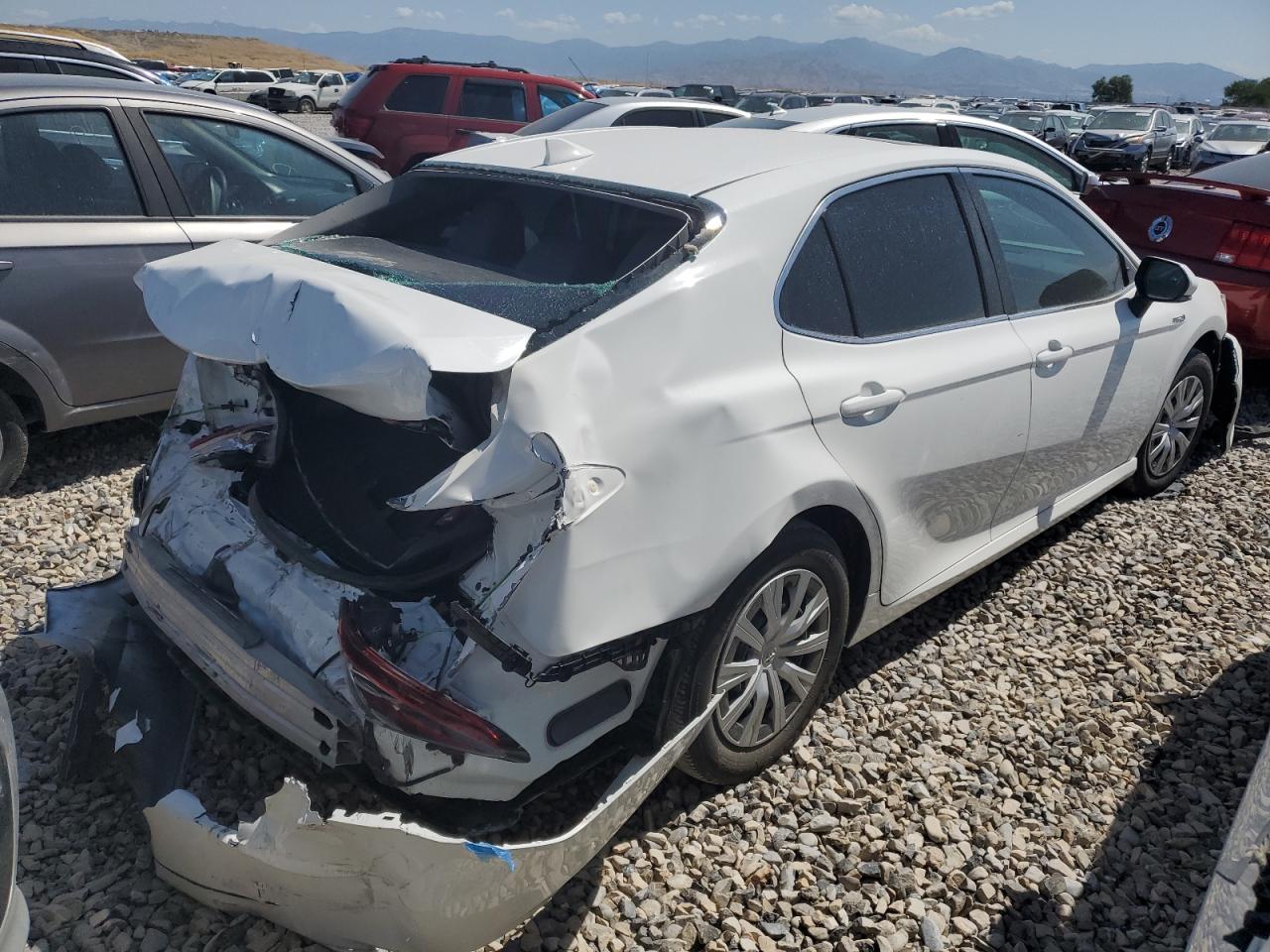4T1H31AKXMU568962 TOYOTA CAMRY 2021