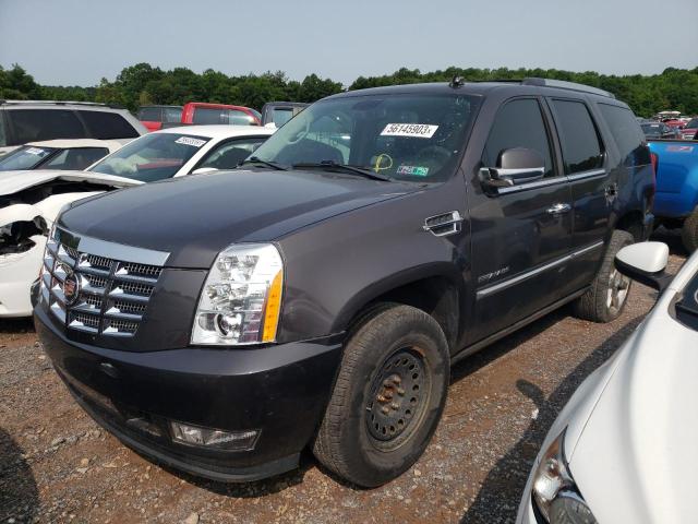 2010 Cadillac Escalade Premium