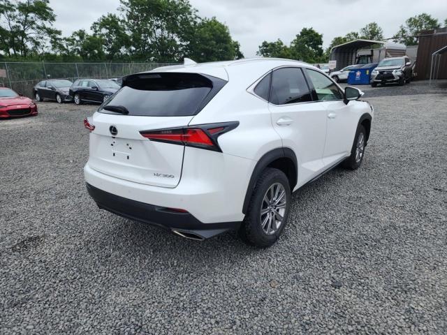 2020 LEXUS NX 300 JTJDARDZ9L5015662
