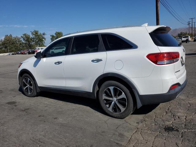 5XYPH4A56GG147842 KIA SORENTO EX