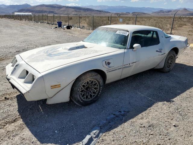 1981 Pontiac Firebird Trans Am