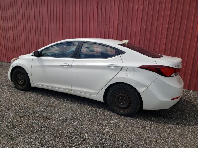 2016 HYUNDAI UK KMHDH4AE8GU556597