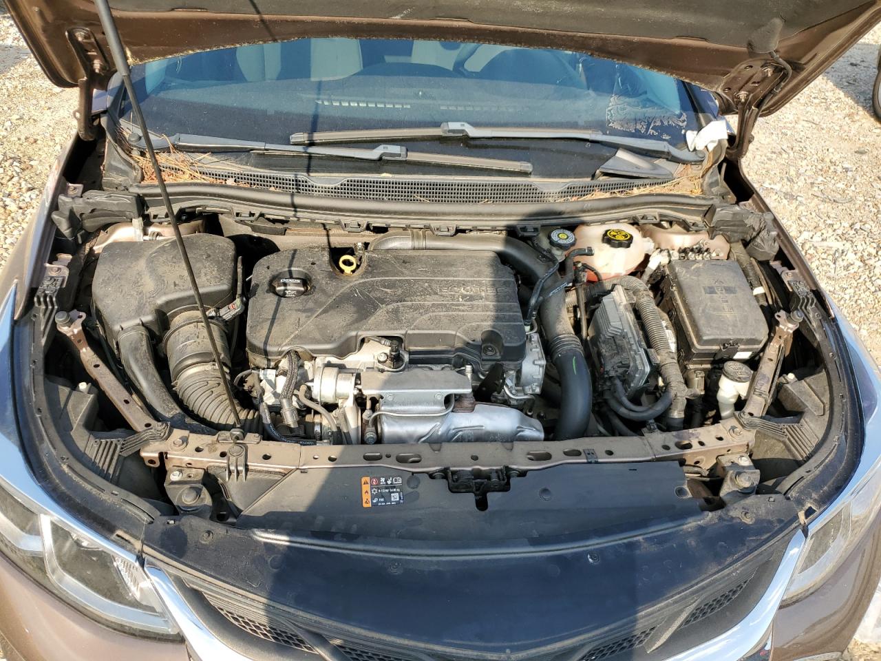 1G1BC5SM7K7134309 CHEVROLET CRUZE 2019