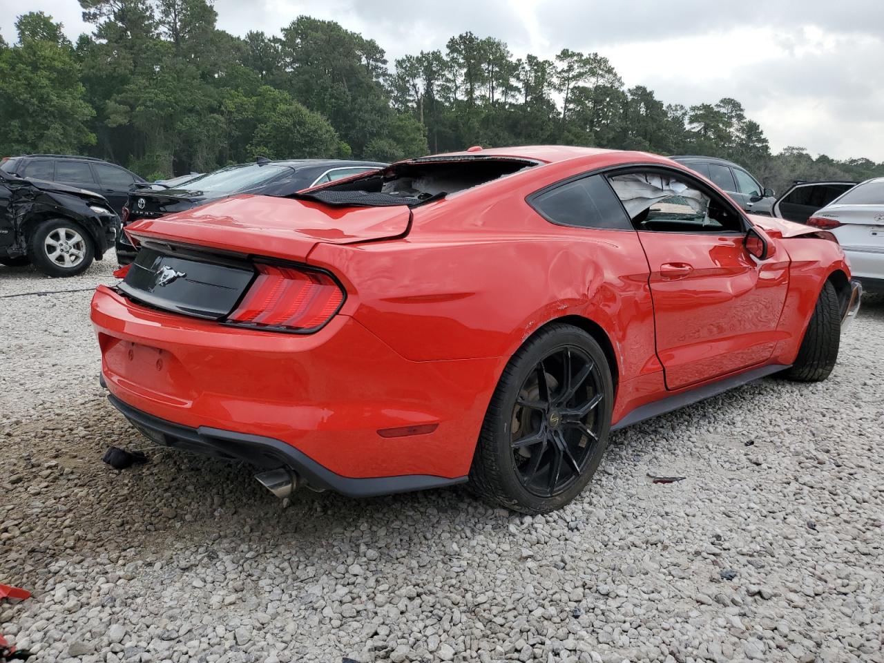 1FA6P8TH0K5118101 FORD ALL Models 2019
