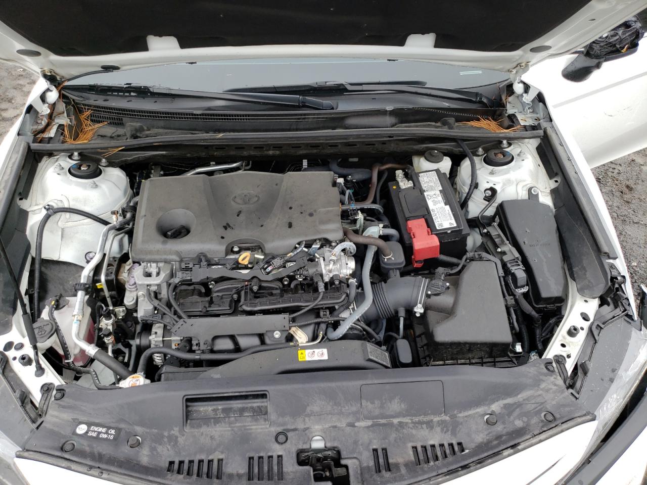 4T1G11AK8MU496127 TOYOTA CAMRY 2021