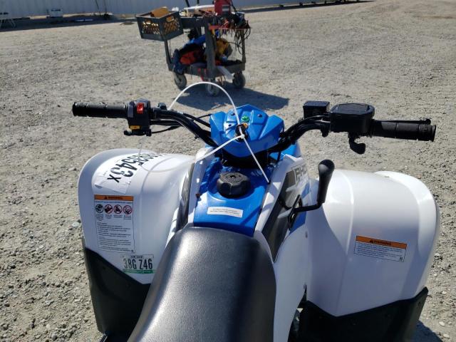 2015 POLARIS PHOENIX 20 - RF3YAP200FT007087