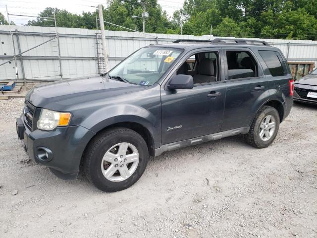 2009 Ford Escape Hybrid