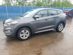 2017 HYUNDAI TUCSON SE - KM8J2CA49HU543042