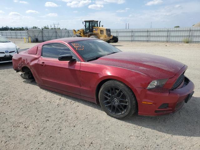 1ZVBP8AM0E5317045 Ford MUSTANG