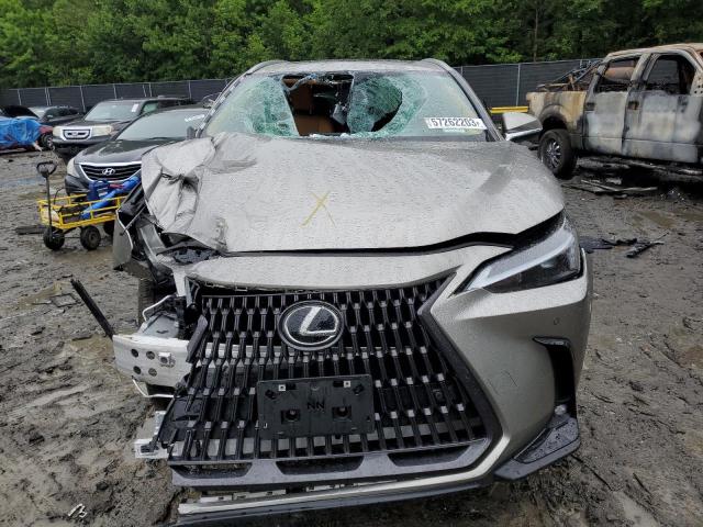 2022 LEXUS NX 350 2T2GGCEZ4NC013619