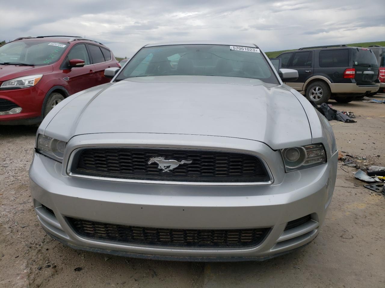 Lot #2473696361 2014 FORD MUSTANG