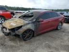 2016 HYUNDAI SONATA SE - 5NPE24AF5GH311706