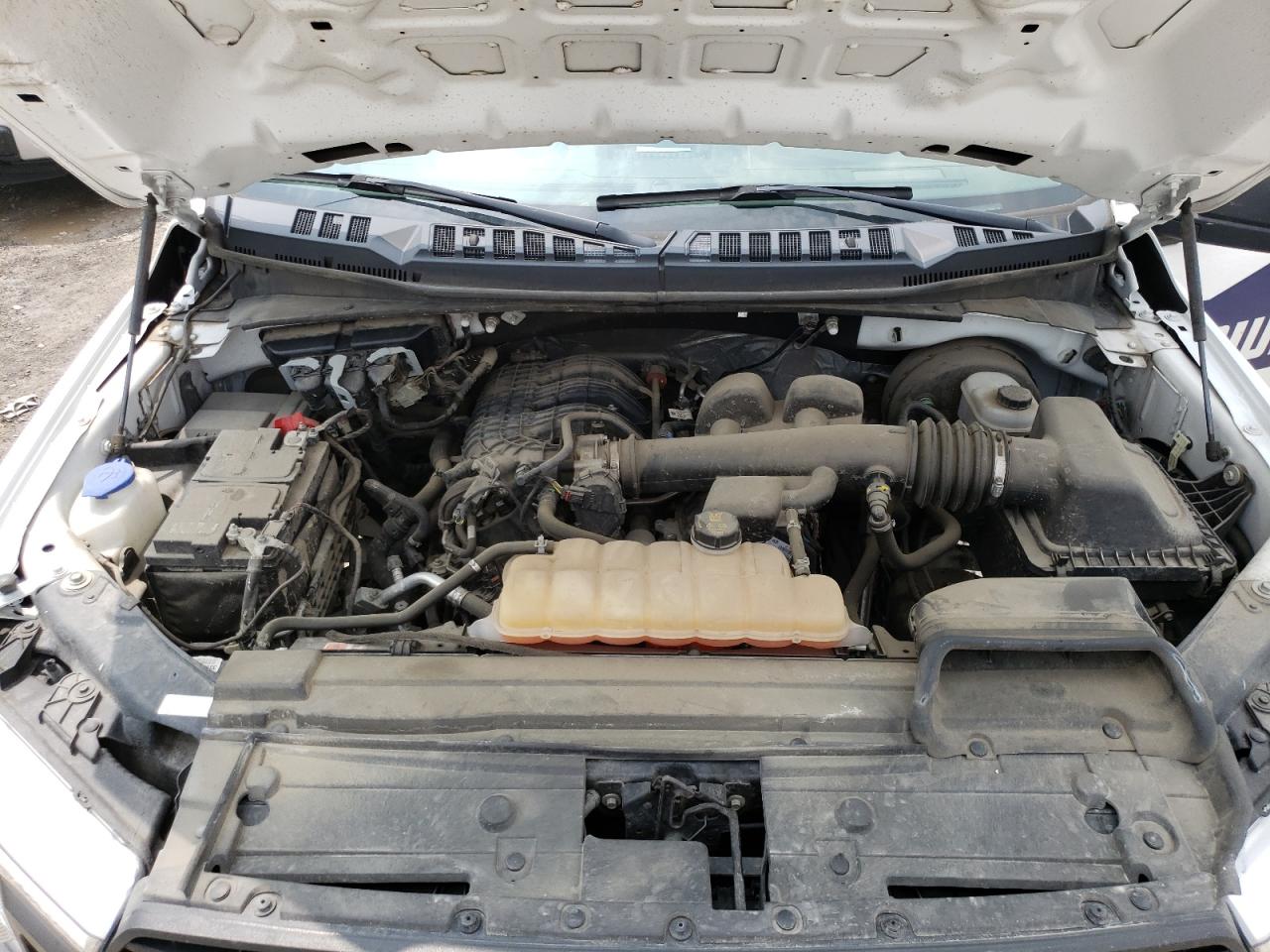 1FTMF1CB3KKC41769 FORD All Models 2019