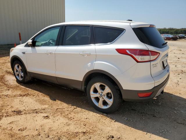 1FMCU0GX8EUA37183 2014 FORD ESCAPE, photo no. 2