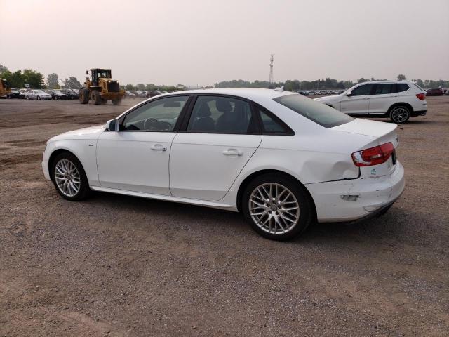 2016 AUDI A4 KOMFORT WAUBFCFLXGN005551