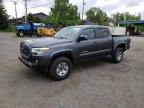 2019 TOYOTA TACOMA DOU - 3TMCZ5AN6KM191112