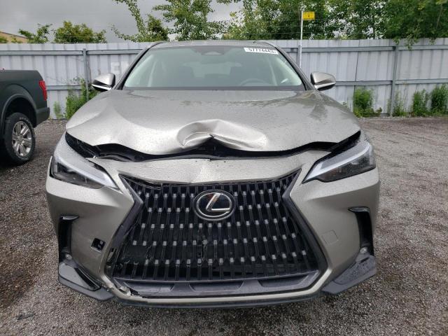 2023 LEXUS NX 250 2T2ADCEZ4PC002847
