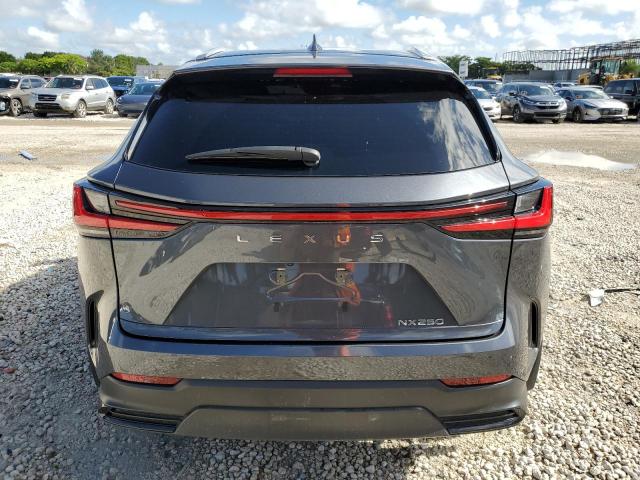 2022 LEXUS NX 250 2T2ADCAZ2NC001148