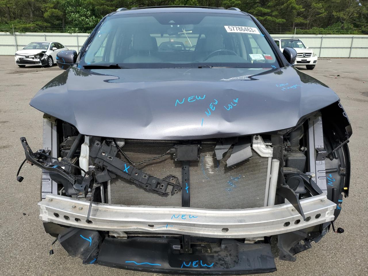 5FNYF6H96KB038389 HONDA PILOT 2019