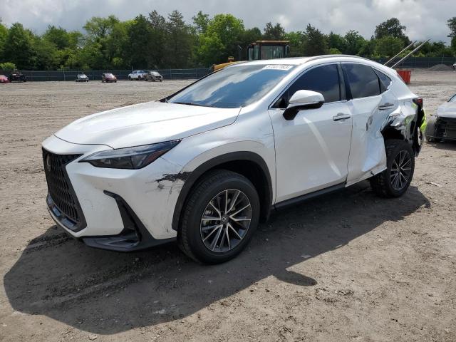 2023 Lexus NX 