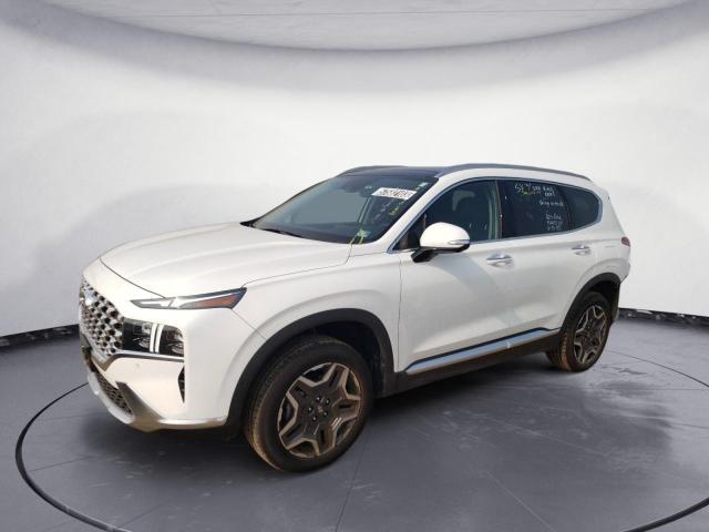 2023 HYUNDAI SANTA FE L - 5NMS4DAL8PH517652