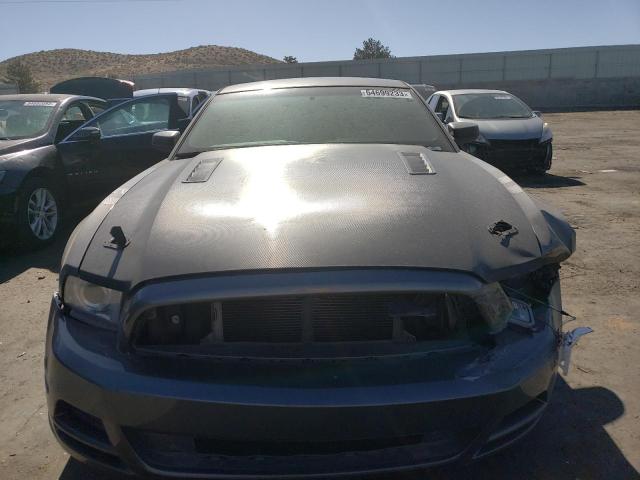 1ZVBP8AMXE5212528 Ford MUSTANG