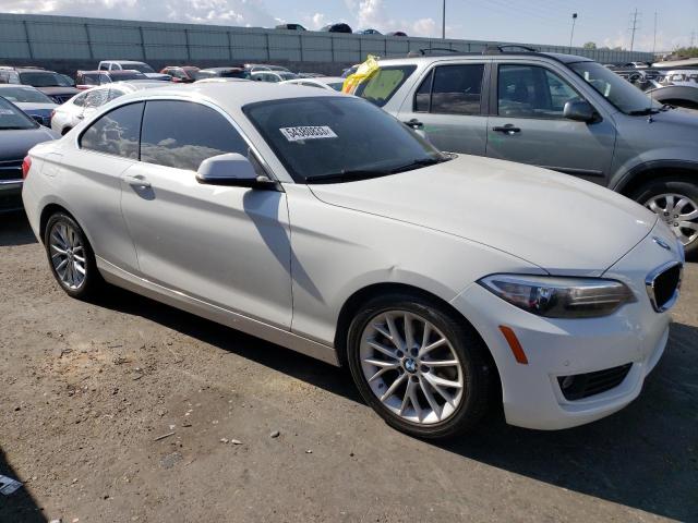 2015 BMW 228 I - WBA1F5C56FV343573