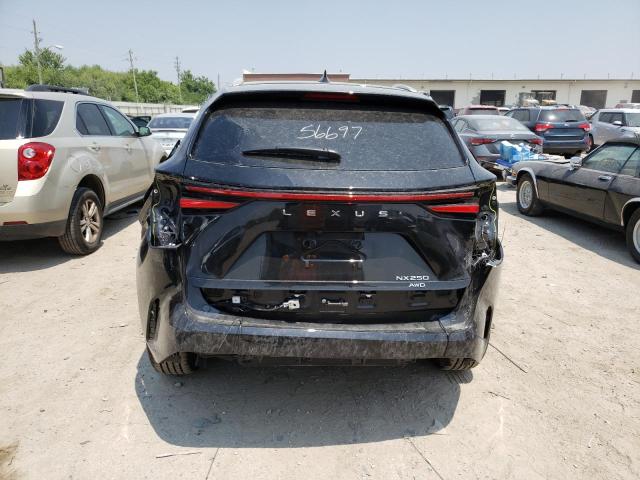 2023 LEXUS NX 250 2T2ADCEZ4PC002962