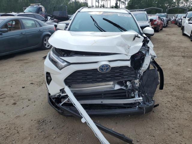 2023 TOYOTA 06 BEDLNR - JTMB6RFV7ND075003