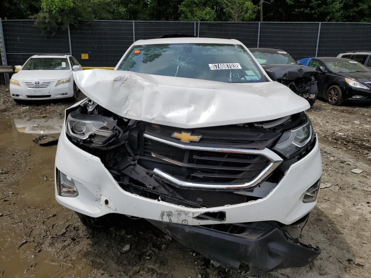 2019 Chevrolet Equinox Ls vin: 2GNAXSEV8K6108884