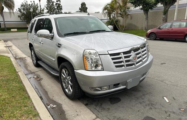 2014 Cadillac Escalade 