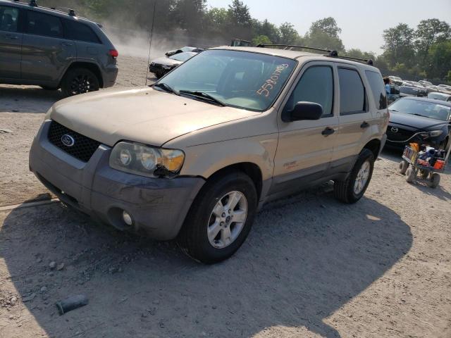 2007 Ford Escape XLT