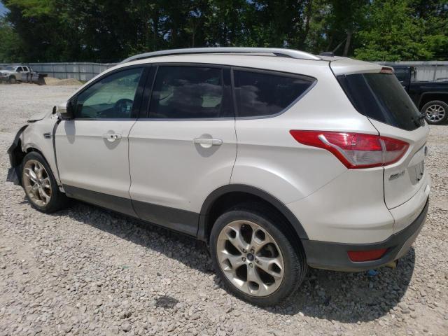 1FMCU0J93DUD17473 2013 FORD ESCAPE, photo no. 2