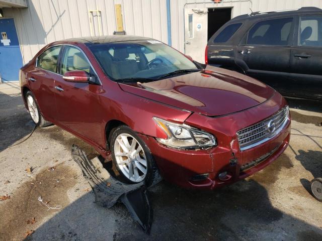 2010 Nissan Maxima S VIN: 1N4AA5AP8AC809259 Lot: 58252733