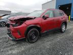 2020 TOYOTA RAV4 LE - 2T3B1RFV6LW097461