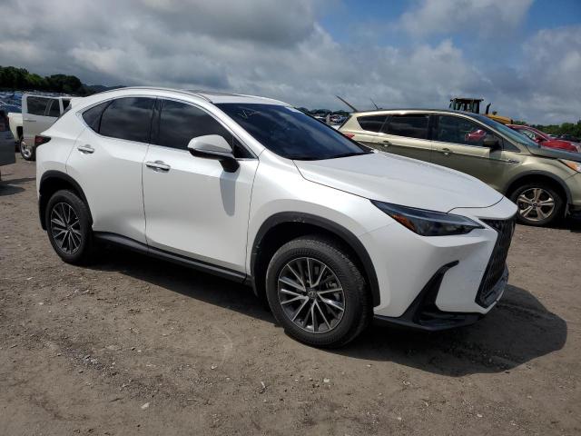 2023 LEXUS NX 350 2T2GGCEZ9PC027938