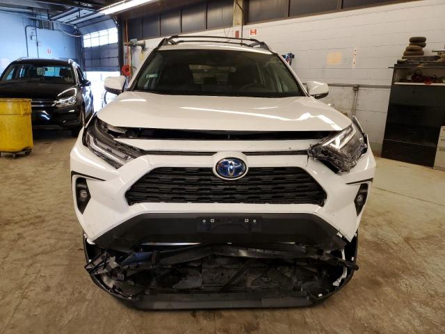 2023 TOYOTA RAV4 WOODL - 2T3UWRFVXPW156415