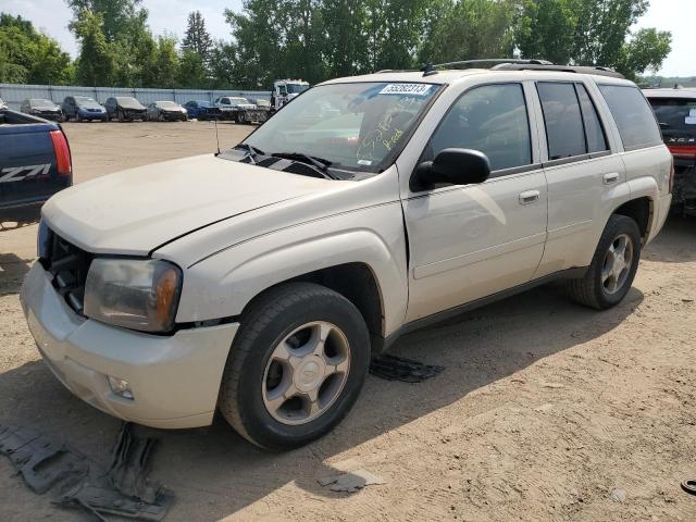 2009 Chevrolet TrailBlazer LT