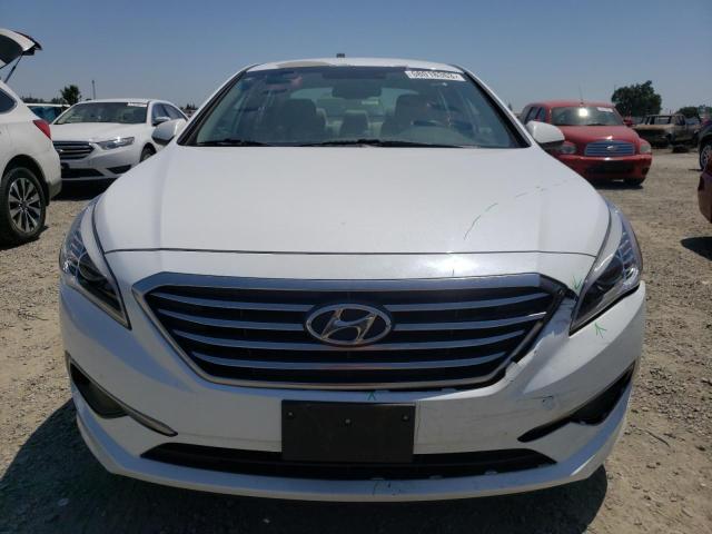 5NPE24AF7GH335473 Hyundai SONATA SE