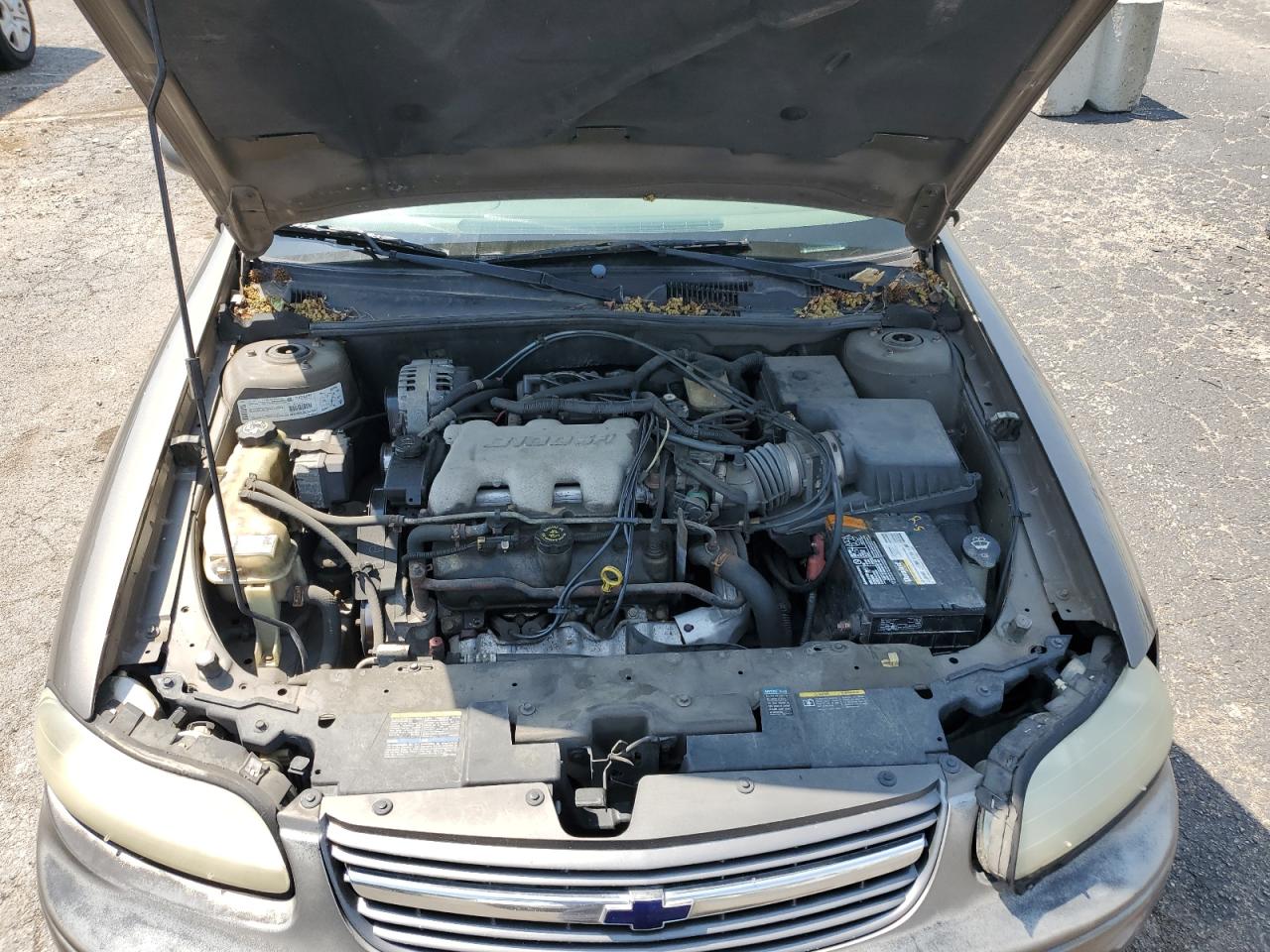 1g1ne52j02m624184 1G1NE52J02M624184 2002 Chevrolet Malibu Ls