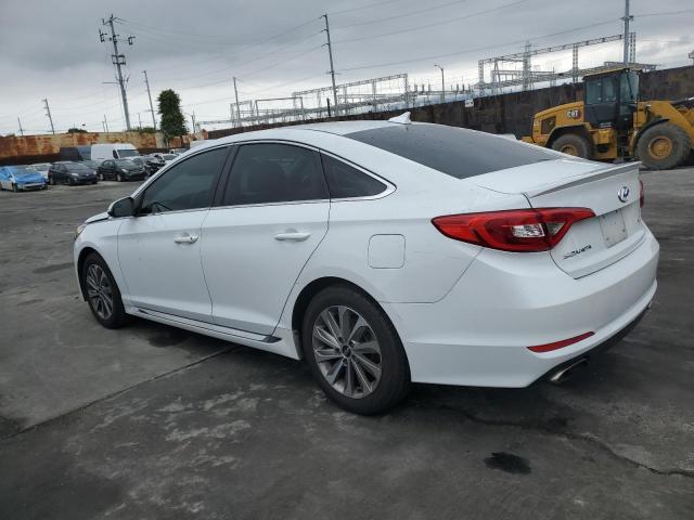 5NPE34AF5GH289381 Hyundai Sonata Sport