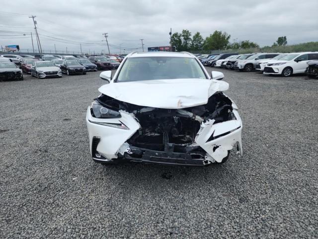 2020 LEXUS NX 300 JTJDARDZ9L5015662