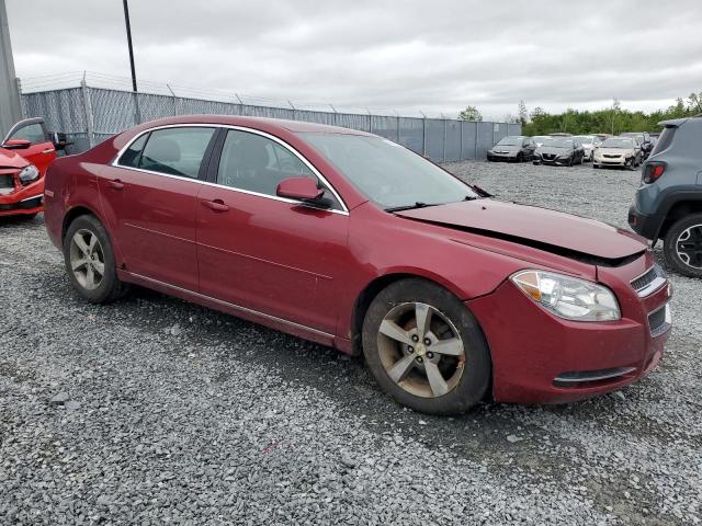 Vin: 1g1zd5eu8bf295832, lot: 56289583, chevrolet malibu 2lt 20114