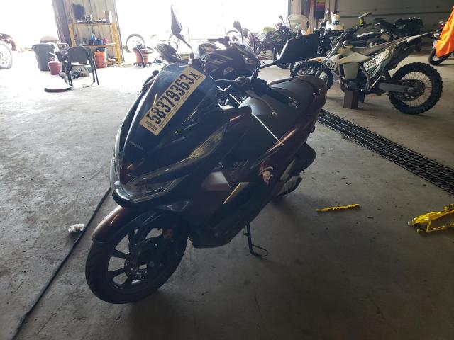 2019 HONDA WW150 RLHKF3002KY000630