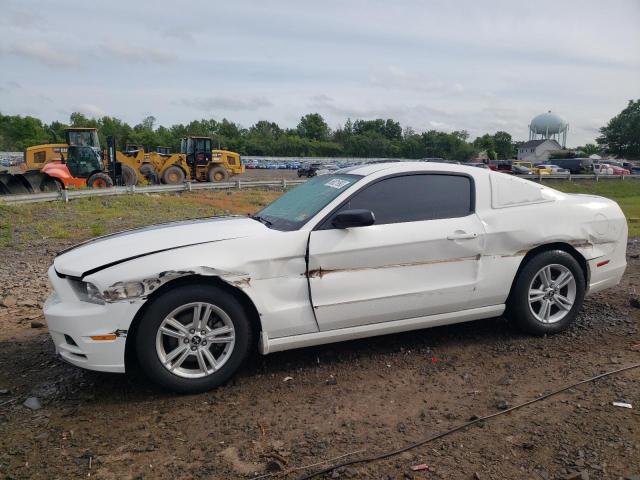 2013 Ford Mustang 