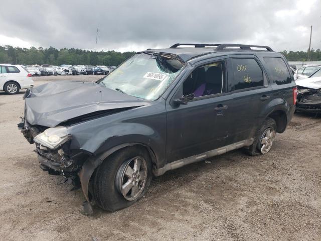 2009 Ford Escape XLT