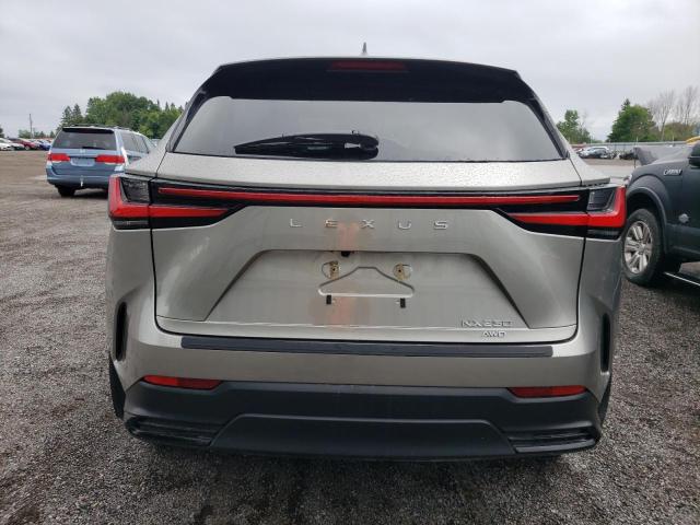 2023 LEXUS NX 250 2T2ADCEZ4PC002847