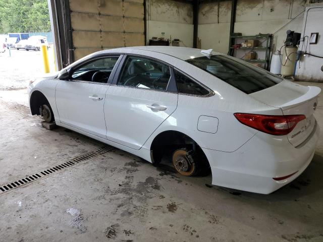5NPE24AF5FH018211 Hyundai SONATA SE