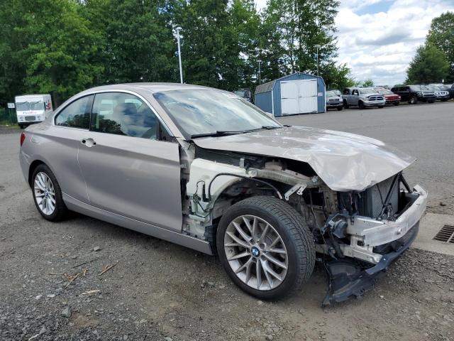2015 BMW 228 XI WBA1F7C53FV367406